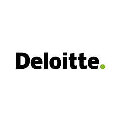 Deloitte Experts 