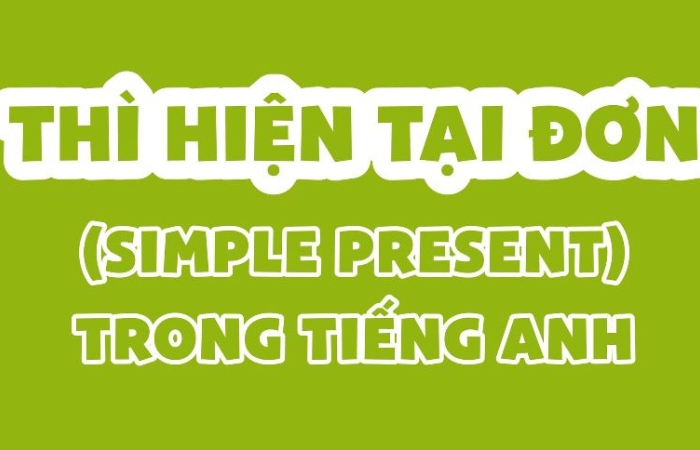 Cách sử dụng thì hiện tại đơn 3