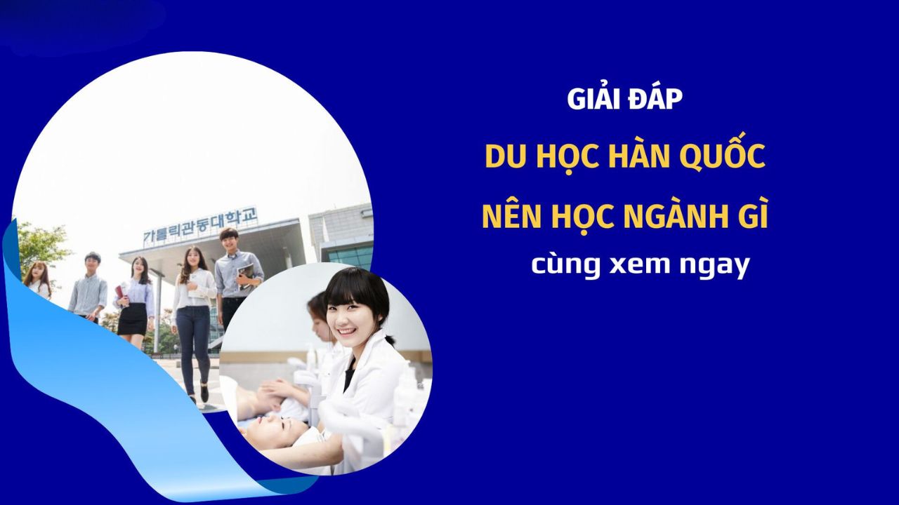 Du học Hàn Quốc nên học ngành gì? Ngành nào thu nhập cao?