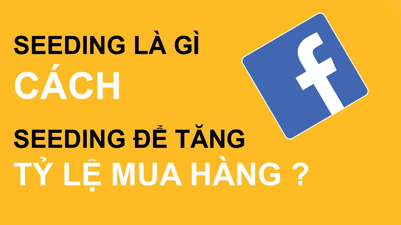 Seeding Marketing là gì? Hướng dẫn cách Seeding hiệu quả