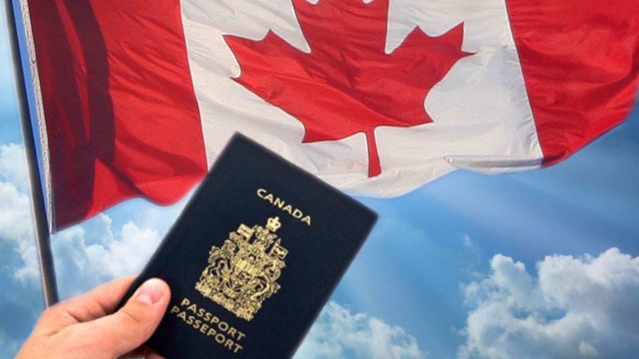 Du học Canada nên học ngành gì? Những ngành nào lương cao?