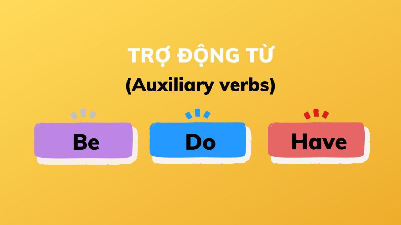 Trợ động từ trong tiếng Anh và những điều cần biết