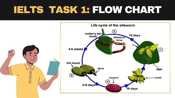 Hướng dẫn cách viết Flow chart IELTS Task 1 chi tiết nhất