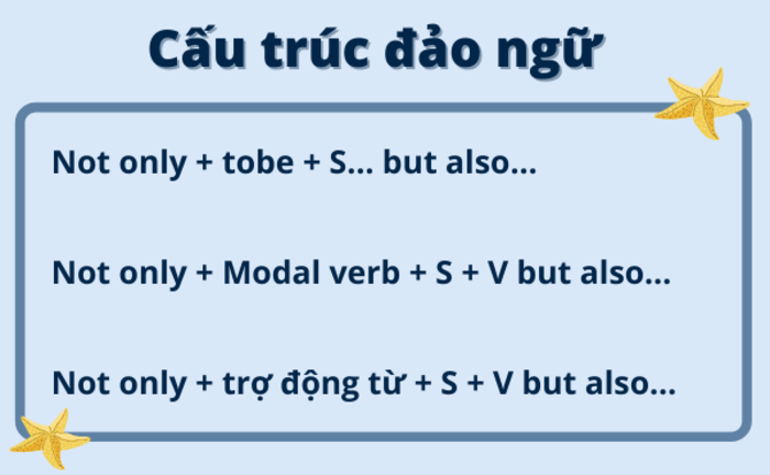 cau-truc-not-only-but-also-dao-ngu-2