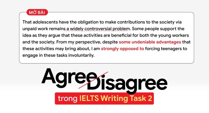 Chiến lược làm dạng bài Agree or Disagree IELTS Writing Task 2