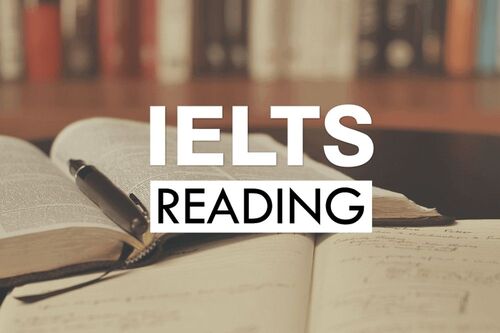 Chia sẻ chiến lược luyện IELTS Reading theo dạng hiệu quả