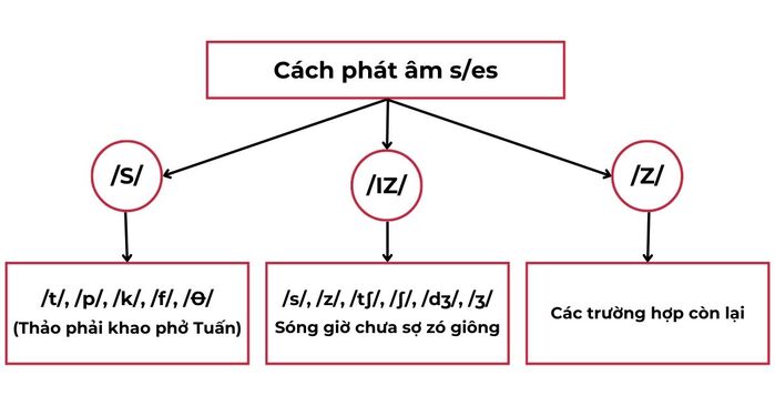 phat-am-s-es-trong-tieng-Anh-3