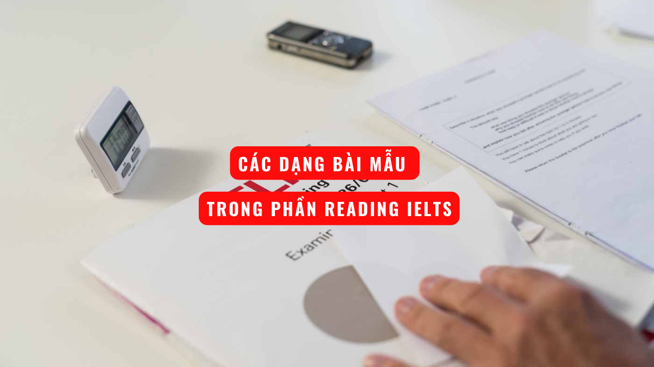 Tổng hợp các dạng bài mẫu Reading IELTS và mẹo luyện thi đạt điểm cao