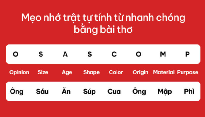 trat-tu-cua-tinh-tu-trong-tieng-Anh-2