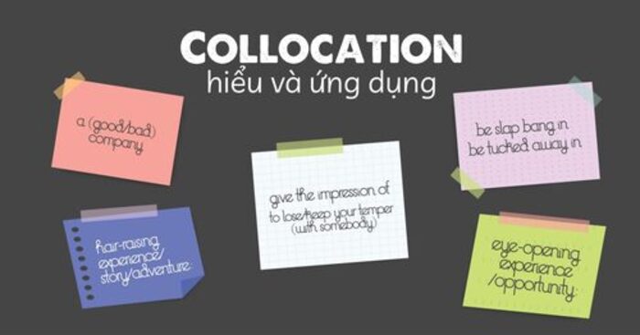 collocation-thuong-gap-1