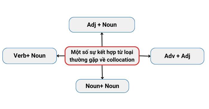 collocation-thuong-gap-3