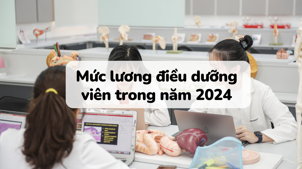 Những điều cần biết về mức lương điều dưỡng viên trong năm 2024