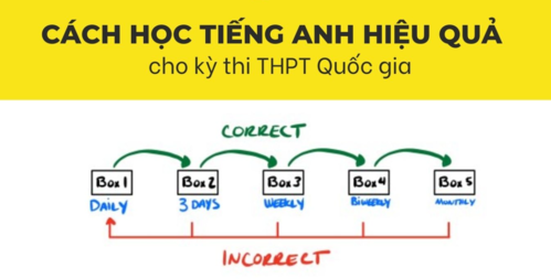 Hướng dẫn cách ôn thi tiếng Anh Trung học phổ thông Quốc gia hiệu quả