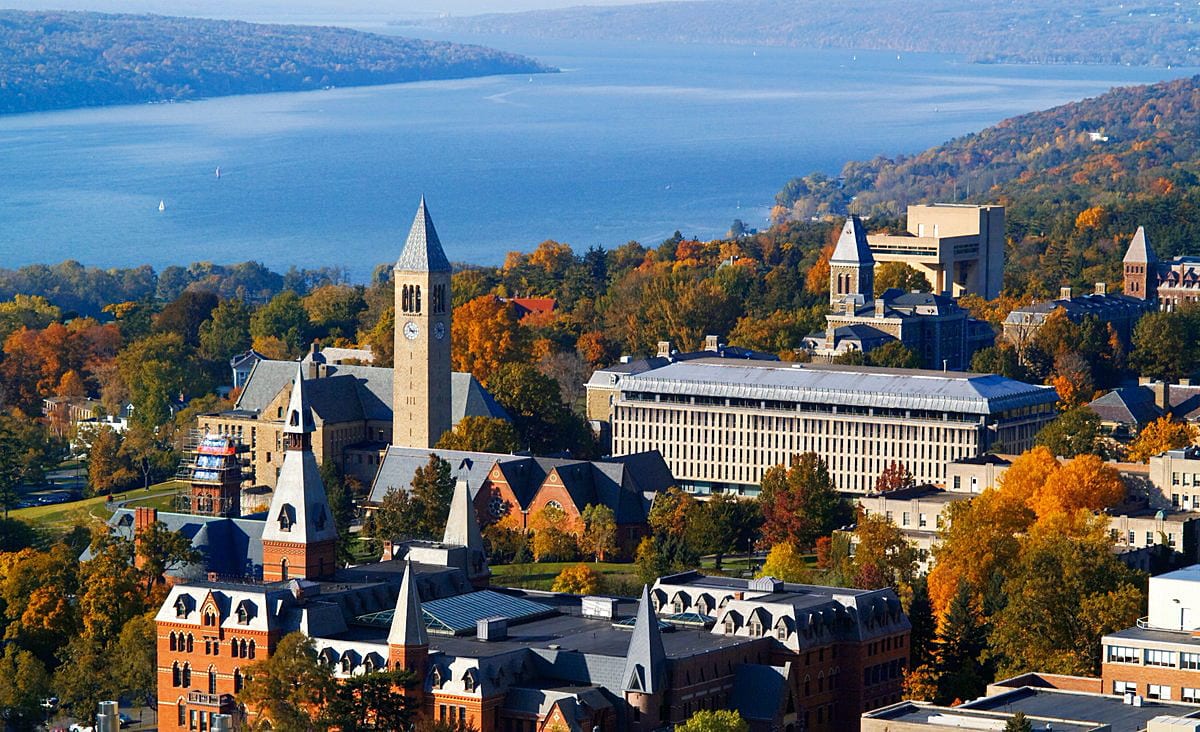 CORNELL UNIVERSITY (UNITED STATES)