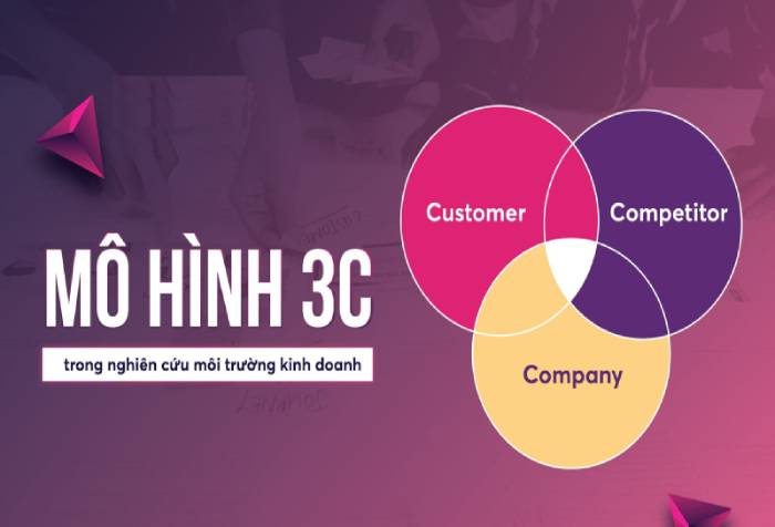 3C trong Marketing là gì? Phân tích mô hình 3C trong doanh nghiệp hình 3 3c-trong-marketing-la-gi-phan-tich-mo-hinh-3c-trong-doanh-nghiep-hinh-3.jpg