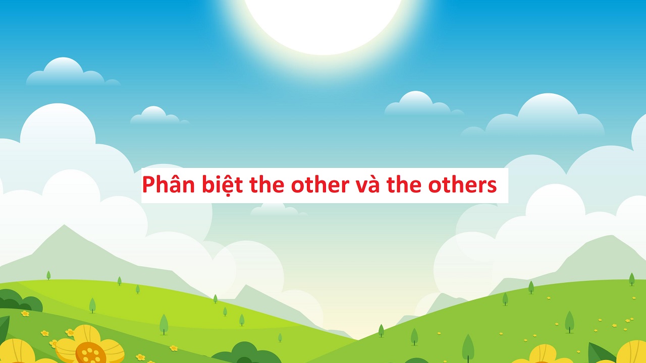 Phân biệt the other và the others: Kiến thức nền tảng cho người học tiếng Anh