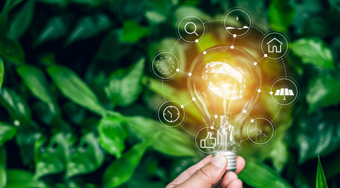 Sustainable Marketing là gì? Chiến lược tiếp thị bền vững