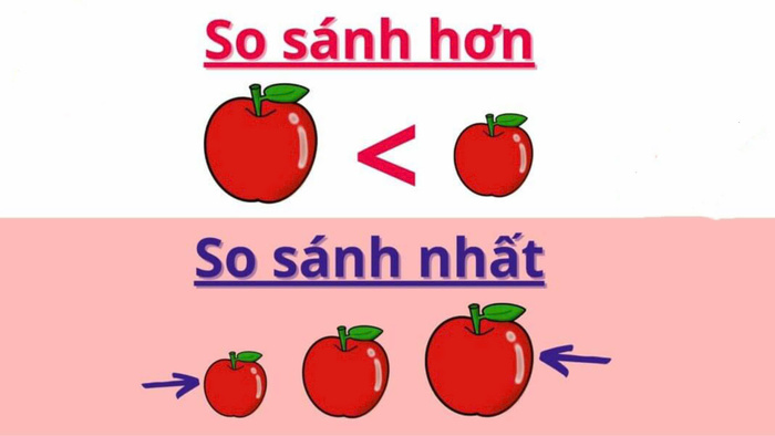 Tính từ so sánh bất quy tắc là gì? Những từ so sánh thông dụng nhất hình 2 tinh-tu-so-sanh-bat-quy-tac-la-gi-nhung-tu-so-sanh-thong-dung-nhat-hinh-2.jpg