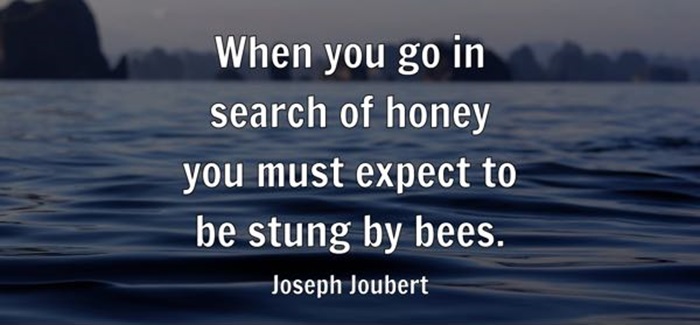 Expect to V hay Ving? Cấu trúc và cách dùng từ A – Z số 2 expect-to-v-hay-ving-cau-truc-va-cach-dung-tu-a-z-so-2.jpg