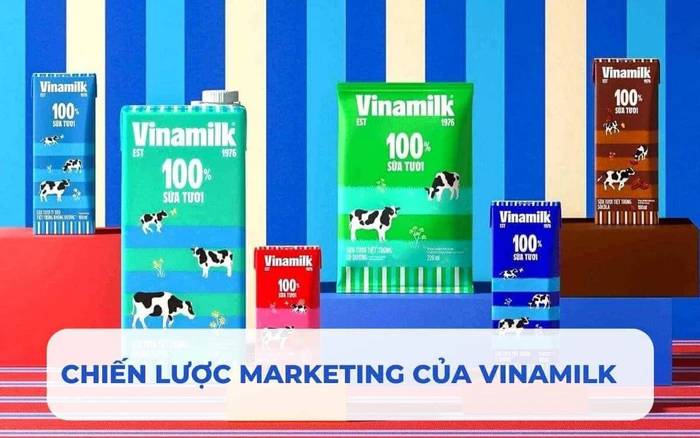 Một số vấn đề bạn cần biết trước khi làm bài tiểu luận chiến lược Marketing của Vinamilk hình 1 mot-so-van-de-ban-can-biet-truoc-khi-lam-bai-tieu-luan-chien-luoc-marketing-cua-vinamilk-hinh-1.jpg