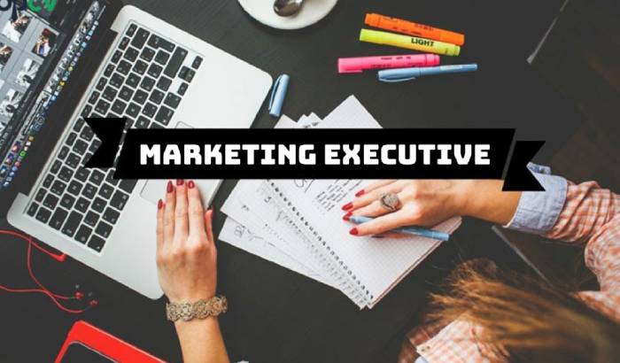 Senior Marketing Executive là gì? Hiểu rõ vị trí quan trọng trong doanh nghiệp hình 1 senior-marketing-executive-la-gi-hieu-ro-vi-tri-quan-trong-trong-doanh-nghiep-hinh-1.jpg