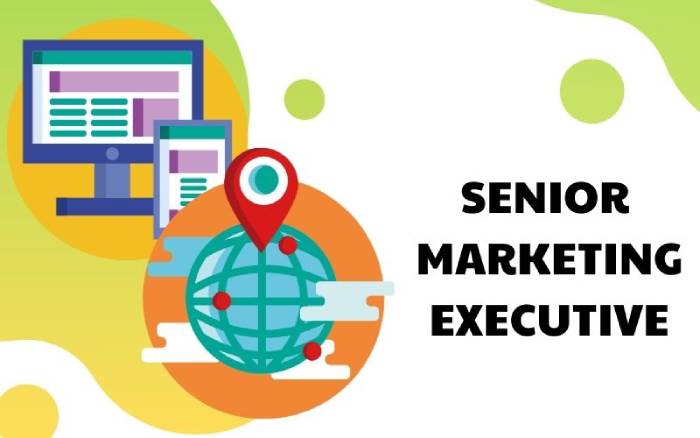 Senior Marketing Executive là gì? Hiểu rõ vị trí quan trọng trong doanh nghiệp hình 2 senior-marketing-executive-la-gi-hieu-ro-vi-tri-quan-trong-trong-doanh-nghiep-hinh-2.jpg