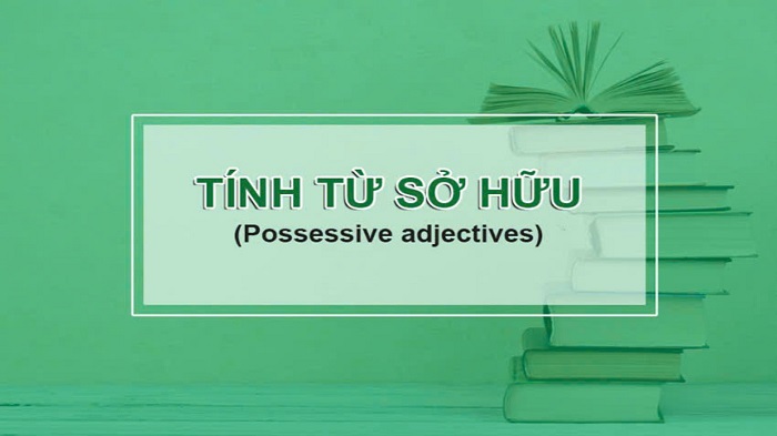 Tính từ sở hữu trong Tiếng Anh là gì? Cách sử dụng tính từ sở hữu hình 1 tinh-tu-so-huu-trong-tieng-anh-la-gi-cach-su-dung-tinh-tu-so-huu-hinh-1.jpg