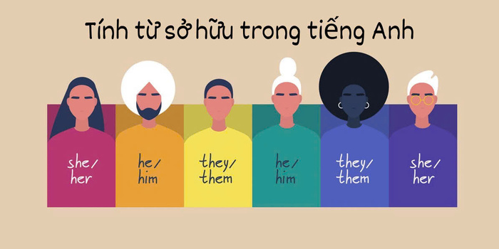 Tính từ sở hữu trong Tiếng Anh là gì? Cách sử dụng tính từ sở hữu hình 2 tinh-tu-so-huu-trong-tieng-anh-la-gi-cach-su-dung-tinh-tu-so-huu-hinh-2.jpg