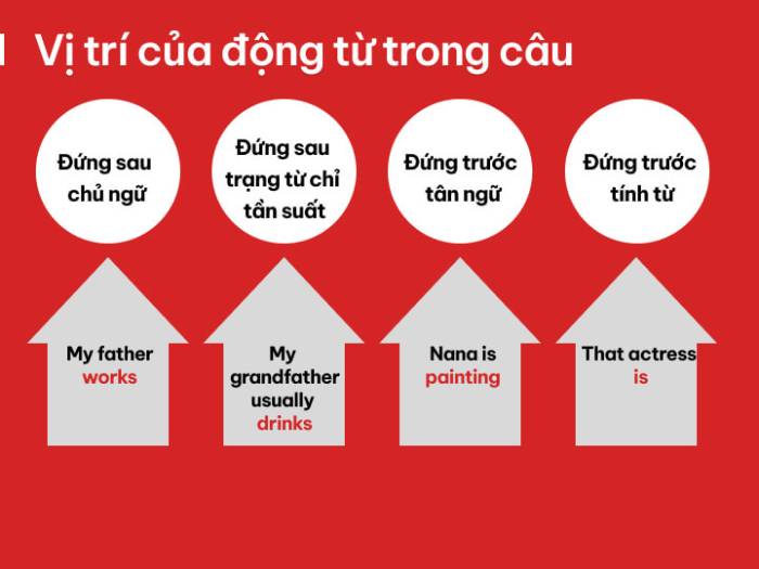 Tổng hợp các loại động từ tiếng Anh thường gặp hình 2 tong-hop-cac-loai-dong-tu-tieng-anh-thuong-gap-hinh-2.jpg