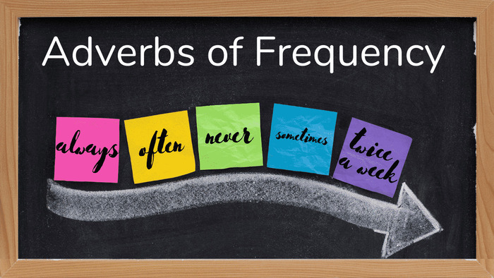 Trạng từ chỉ tần suất trong tiếng Anh: Định nghĩa và cách sử dụng hiệu quả hình 3 trang-tu-chi-tan-suat-trong-tieng-anh-dinh-nghia-va-cach-su-dung-hieu-qua-hinh-3.jpg