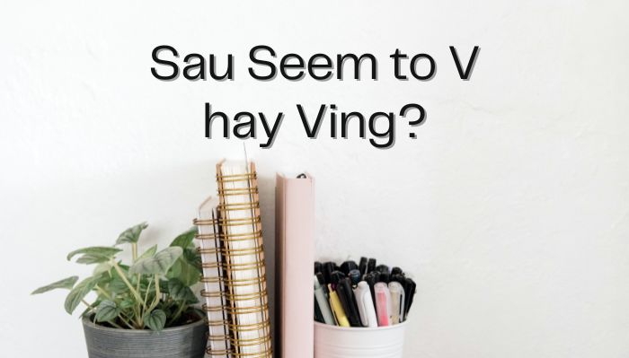 Cấu trúc Seem: Seem to V hay Ving? hình ảnh 1 Cau-truc-seem-seem-to-v-hay-ving-hinh-anh-1.jpg