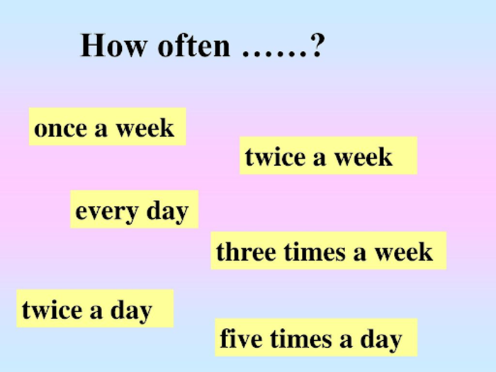 Giải mã chi tiết cấu trúc How often + gì? hình 2 giai-ma-chi-tiet-cau-truc-how-often-gi-hinh-2.png