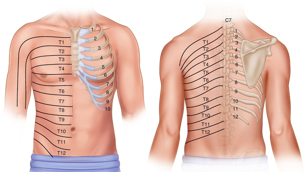 Đau dây thần kinh liên sườn: Nguyên nhân, triệu chứng và cách điều trị hiệu quả
