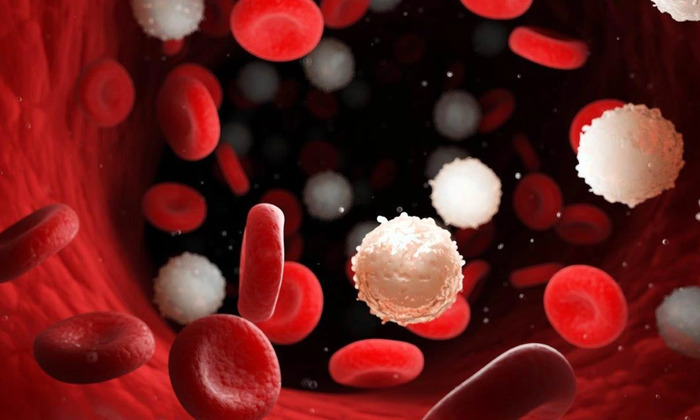 Nhận biết sớm dấu hiệu ung thư máu để điều trị kịp thời hình 2 nhan-biet-som-dau-hieu-ung-thu-mau-de-dieu-tri-kip-thoi-hinh-2.jpg