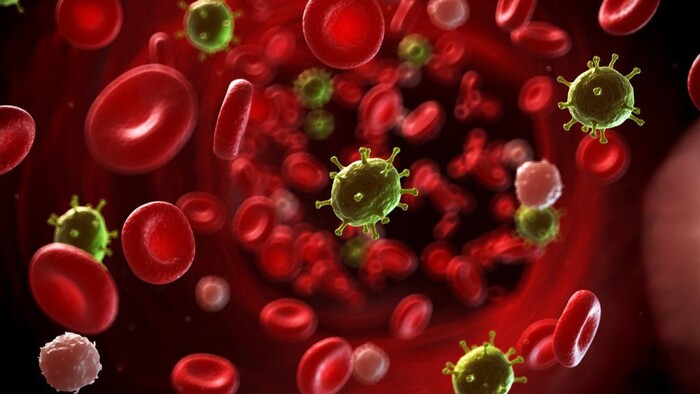 Ung thư máu là gì? Nguyên nhân, triệu chứng và phương pháp điều trị hình 1 ung-thu-mau-la-gi-nguyen-nhan-trieu-chung-va-phuong-phap-dieu-tri-hinh-1.jpg