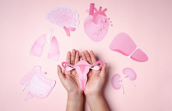 Giải đáp: Nội tiết tố là gì và ảnh hưởng thế nào đến cơ thể? hình 3 giai-dap-noi-tiet-to-la-gi-va-anh-huong-the-nao-den-co-the-hinh-3.jpg