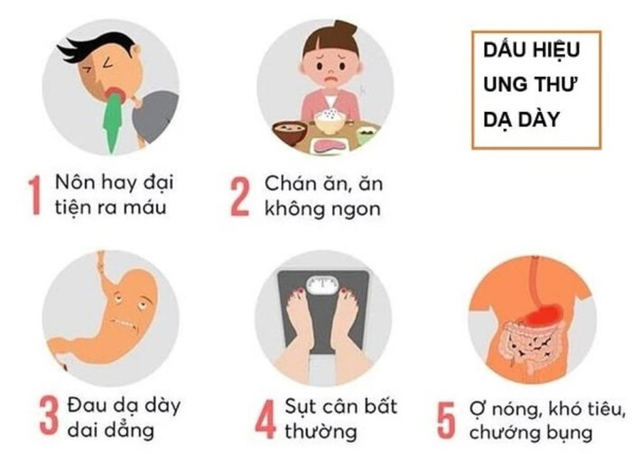 Triệu chứng ung thư dạ dày cần chú ý hình 1 trieu-chung-ung-thu-da-day-can-chu-y-hinh-1.jpg