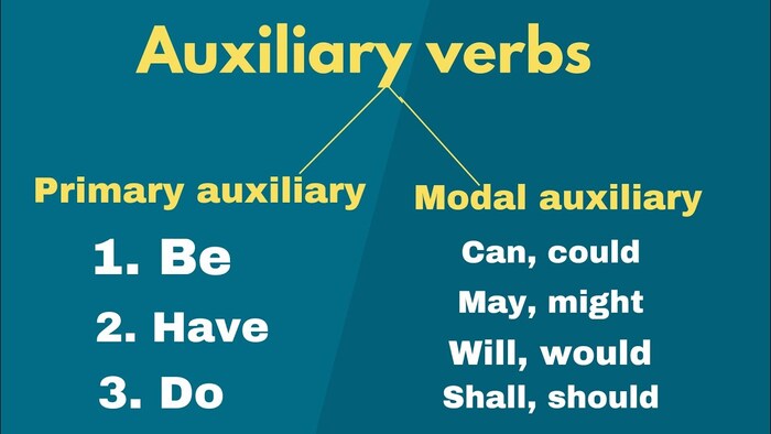Trợ động từ là gì trong tiếng Anh? Khám phá vai trò và cách sử dụng hình 3 tro-dong-tu-la-gi-trong-tieng-anh-kham-pha-vai-tro-va-cach-su-dung-hinh-3.jpg