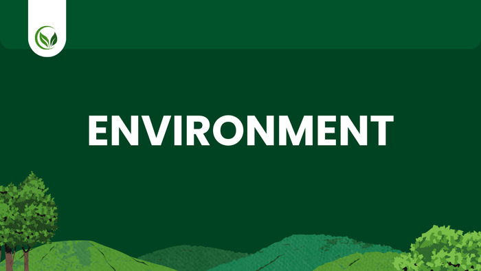 Từ vựng Environment nâng cao: Gợi ý cho Band 7+ IELTS Writing hình 2 tu-vung-environment-nang-cao-goi-y-cho-band-7-ielts-writing-hinh-2.jpg