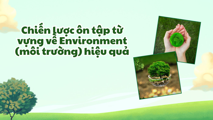 Từ vựng Environment nâng cao: Gợi ý cho Band 7+ IELTS Writing hình 3 tu-vung-environment-nang-cao-goi-y-cho-band-7-ielts-writing-hinh-3.jpg