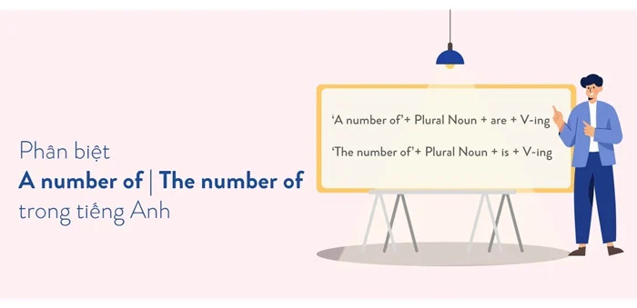"A number of vs The number of": Bẫy ngữ pháp khiến nhiều người học nhầm lẫn hình 3 a-number-of-vs-the-number-of-bay-ngu-phap-khien-nhieu-nguoi-hoc-nham-lan-hinh-3.jpg