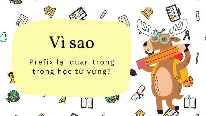 Giải mã Prefix là gì? Vì sao tiền tố lại quan trọng trong học từ vựng? hình 3 giai-ma-prefix-la-gi-vi-sao-tien-to-lai-quan-trong-trong-hoc-tu-vung-hinh-3.jpg