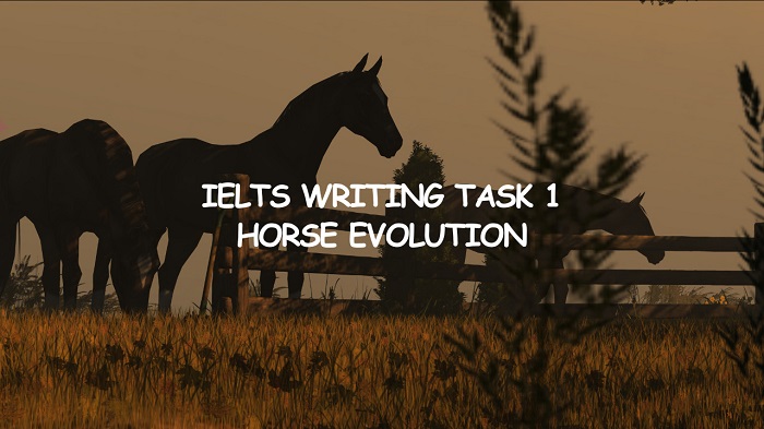 Hướng dẫn từng bước xử lý đề IELTS Writing Task 1 Horse Evolution hình 1 huong-dan-tung-buoc-xu-ly-de-ielts-writing-task-1-horse-evolution-hinh-1-1.jpg