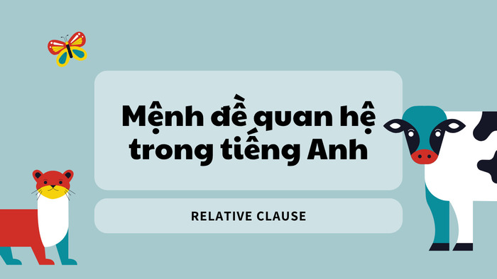 Mệnh đề quan hệ trong tiếng Anh: Cách dùng chuẩn và dễ hiểu nhất hình 1 menh-de-quan-he-trong-tieng-anh-cach-dung-chuan-va-de-hieu-nhat-hinh-1.jpg
