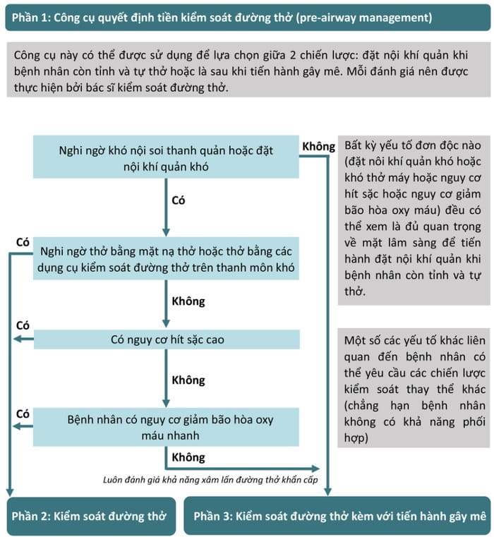 Phác đồ kiểm soát đường thở khó trong gây mê và hồi sức cấp cứu hình 2 phac-do-kiem-soat-duong-tho-kho-trong-gay-me-va-hoi-suc-cap-cuu-hinh-2.jpg