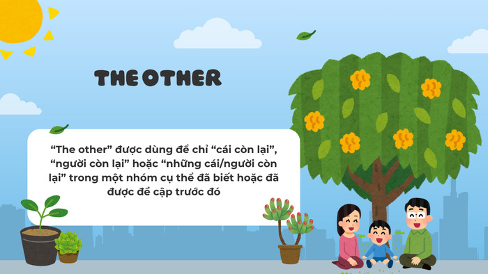 Tổng hợp kiến thức phân biệt other và the other cho người mới học hình 3 tong-hop-kien-thuc-phan-biet-other-va-the-other-cho-nguoi-moi-hoc-hinh-3.jpg