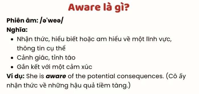 Aware đi với giới từ gì? Hiểu đúng để dùng chuẩn hình 1 aware-di-voi-gioi-tu-gi-hieu-dung-de-dung-chuan-hinh-1.jpg