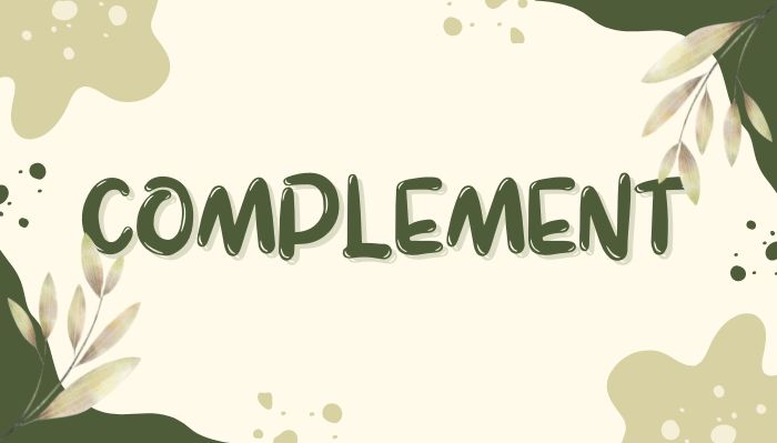 Bổ ngữ là gì? Xác định các loại bổ ngữ trong tiếng Anh hình 1 bo-ngu-la-gi-xac-dinh-cac-loai-bo-ngu-trong-tieng-anh-hinh-1.jpg