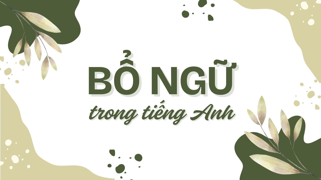 Bổ ngữ là gì? Xác định các loại bổ ngữ trong tiếng Anh