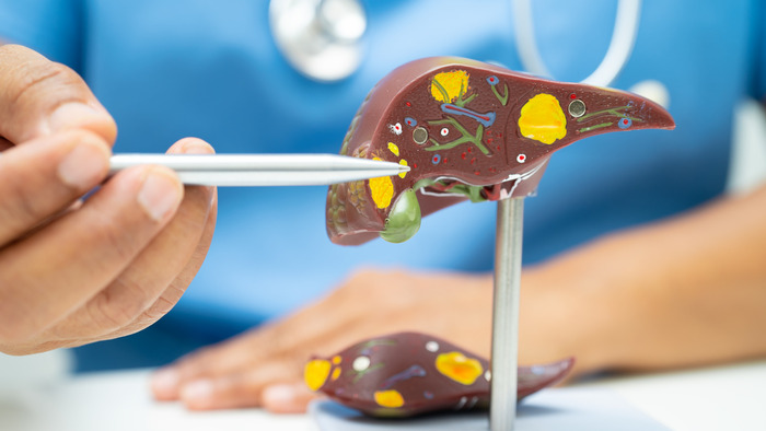 Giải mã AST trong xét nghiệm máu là gì: Vai trò và ý nghĩa lâm sàng hình 3 giai-ma-ast-trong-xet-nghiem-mau-la-gi-vai-tro-va-y-nghia-lam-sang-hinh-3.jpg